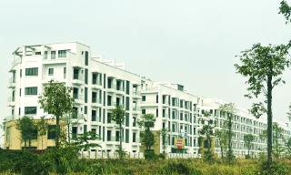 Bắc Ninh giao chủ đầu tư Dự án đầu tư xây dựng Khu nhà ở xã hội tại xã Đại Đồng